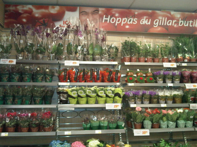 news 6 foto flores en supermercado